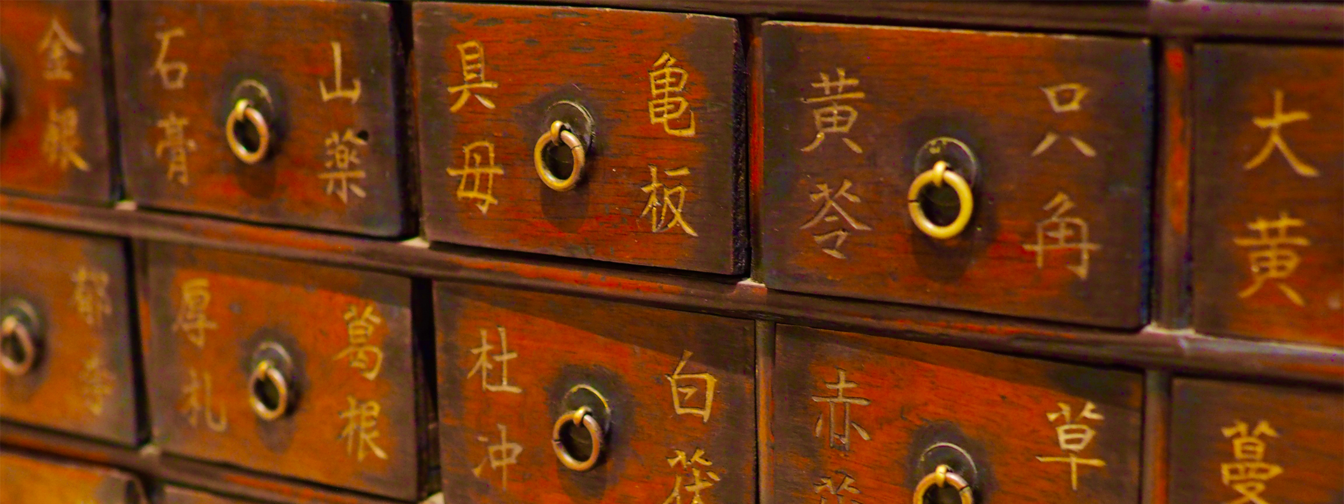 伝統鍼灸 はしもと鍼灸院