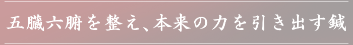 五臓六腑を整え、本来の力を引き出す Hashimoto Shinkyu